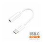 Adaptador USB-C para Jack 3,5mm Digital - C209B | IDUSD